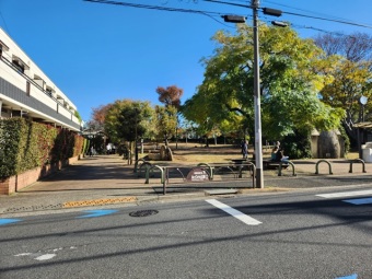 世田谷区立ねこじゃらし公園